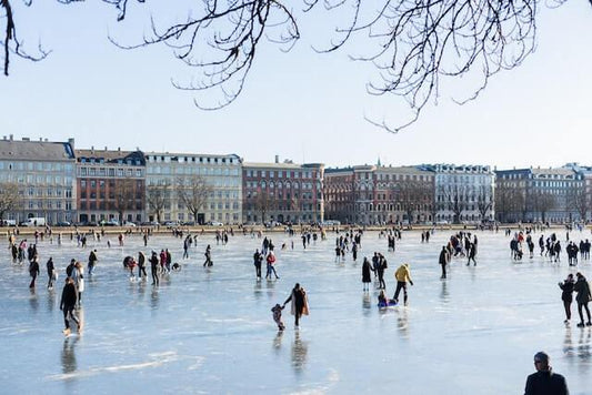 Billede af vinter i København - set på Gladhuds blog