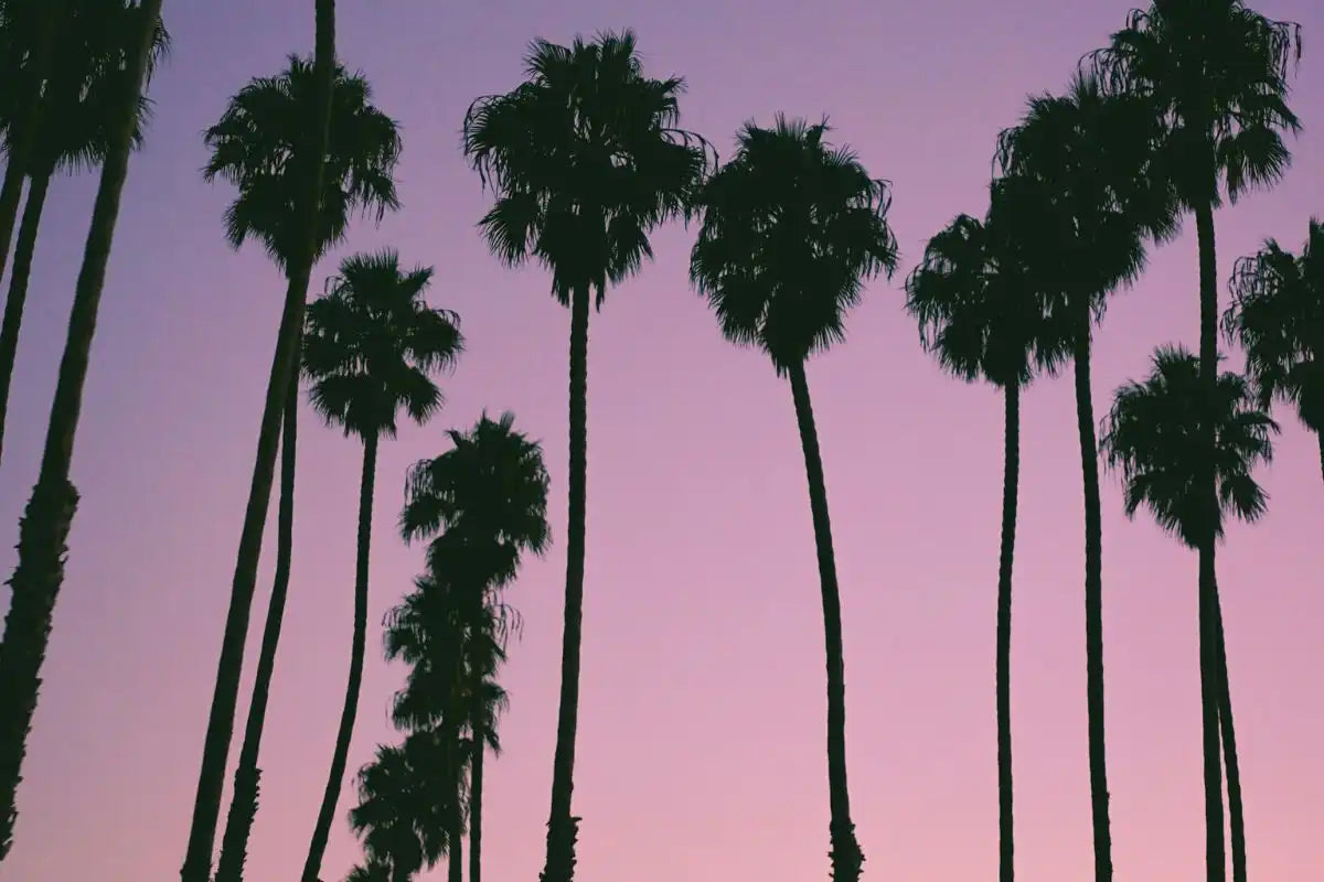 Solcreme - ven eller fjende ?