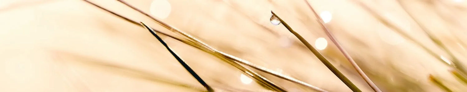 faaborg pharma banner