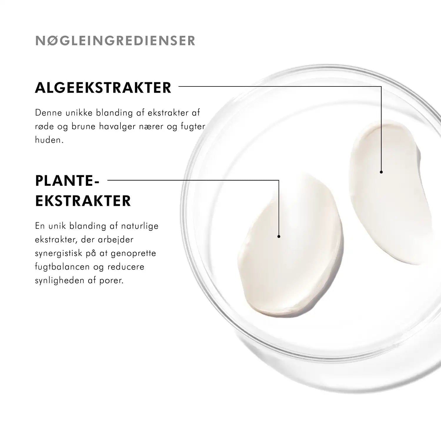 SkinCeuticals Daily Moisture, Ingredienser