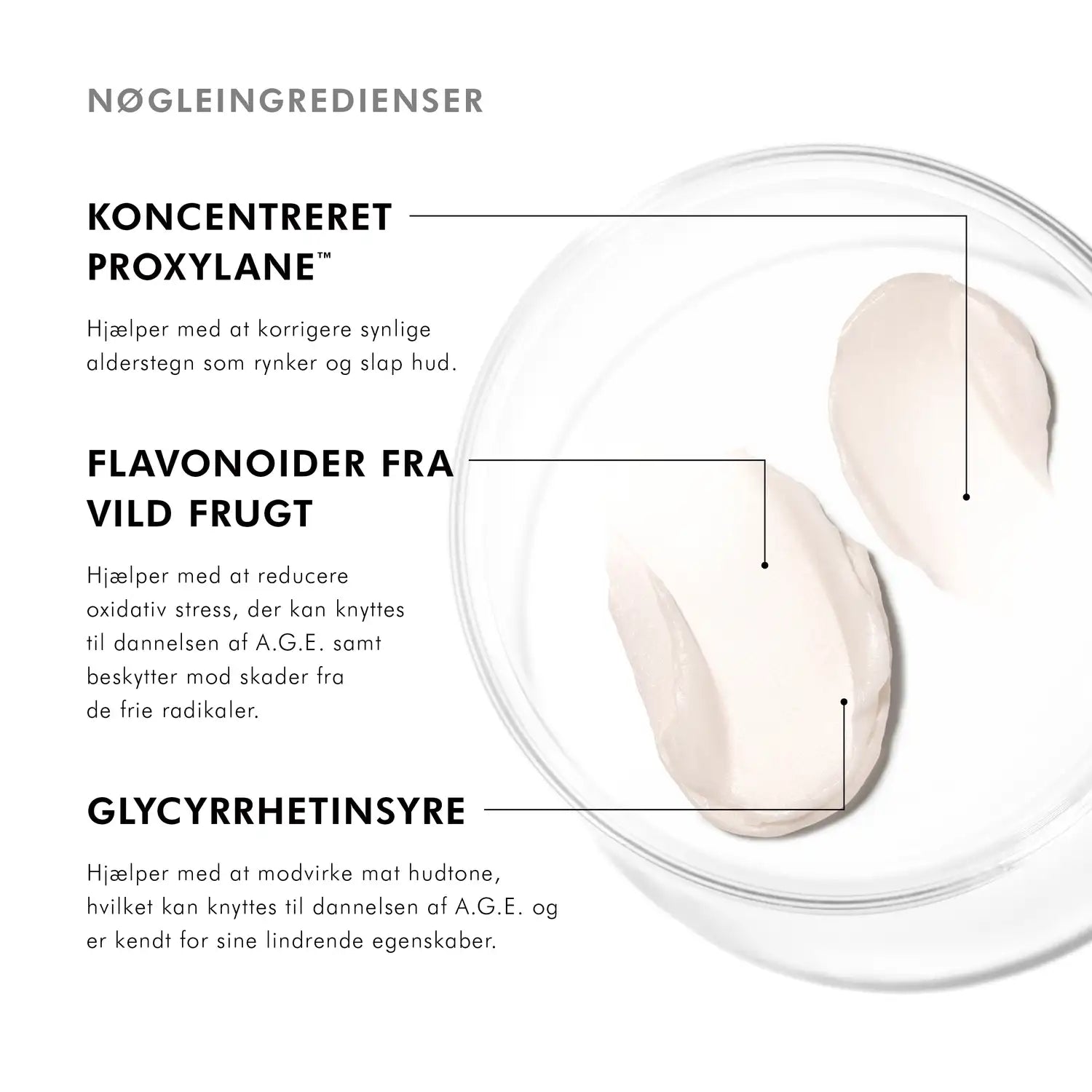 SkinCeuticals A.G.E. Interrupter Advanced, ingredienser